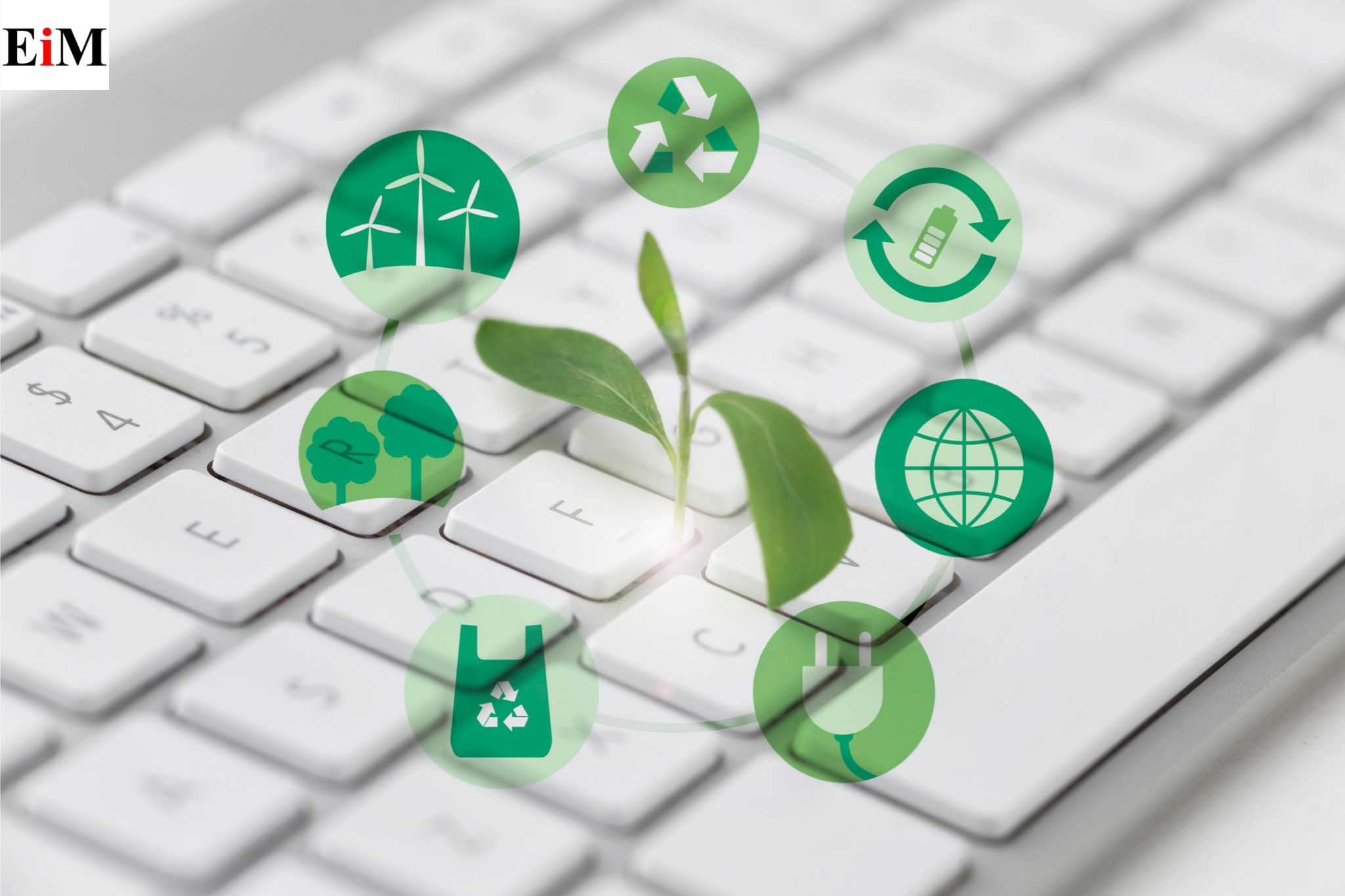 Introduction to Eco-Friendly Systems Development