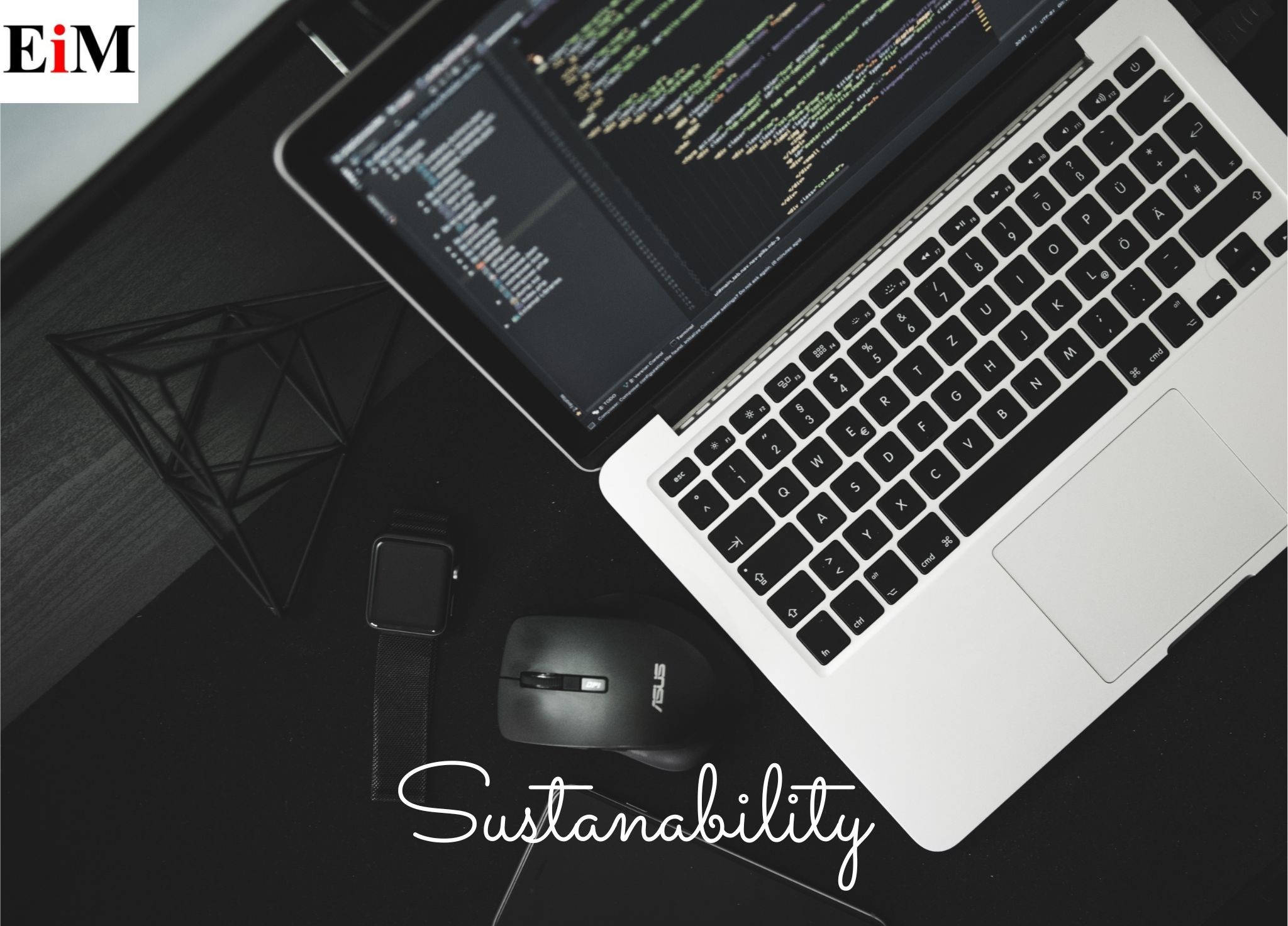 The Importance of Sustainability in Software Development